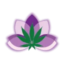 Rx Canna Care Coupon Codes